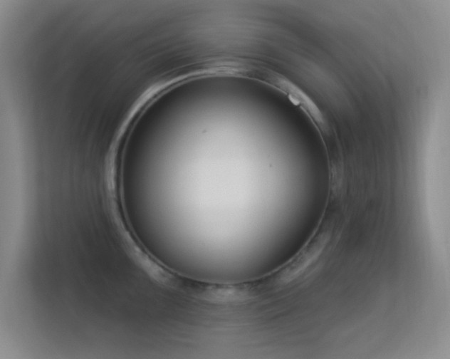 X0000113581099200909251150