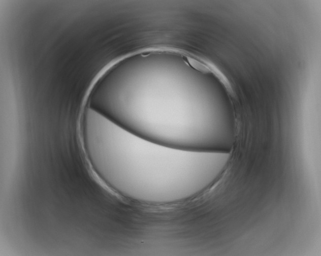 X0000113581100200909251150