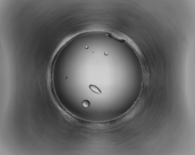 X0000113581101200909251150