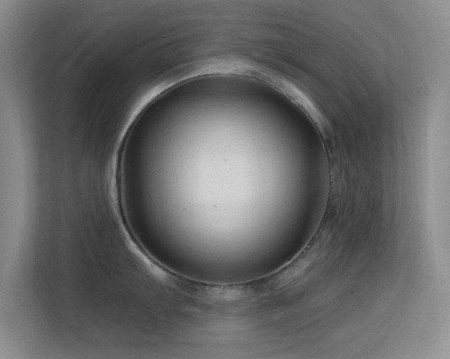 X0000113581103200909251150