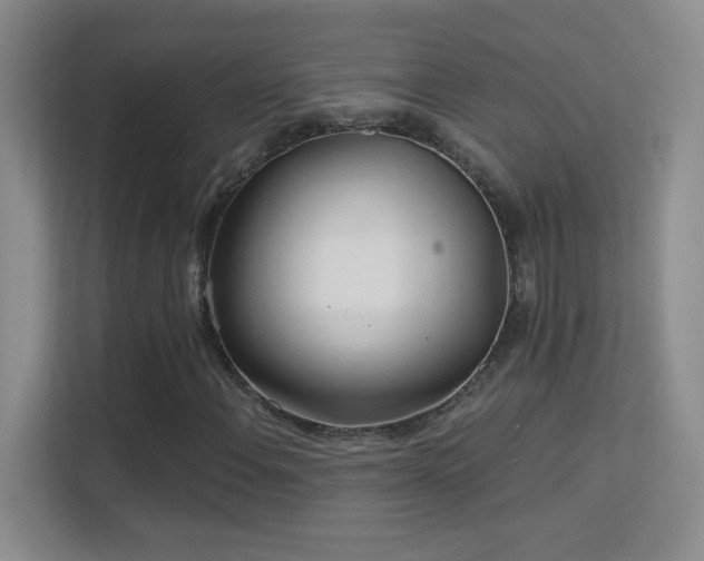 X0000113581108200909251149