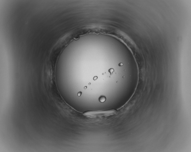 X0000113581111200909251149