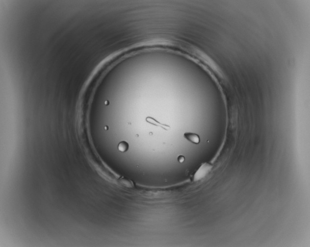 X0000113581116200909251149