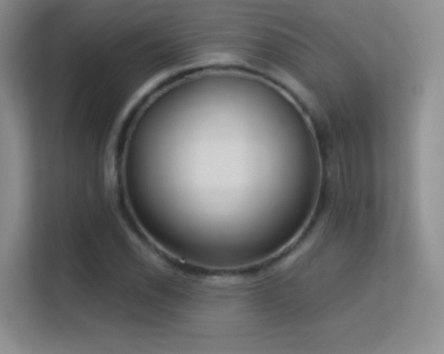 X0000113581118200909251149