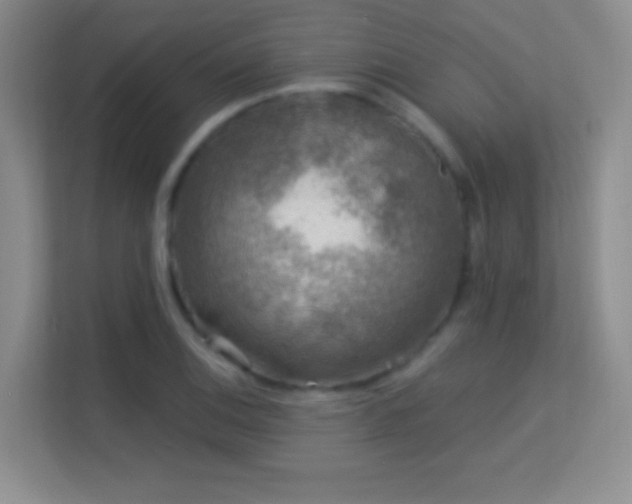 X0000113581124200909251149