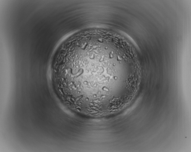 X0000113581125200909251149