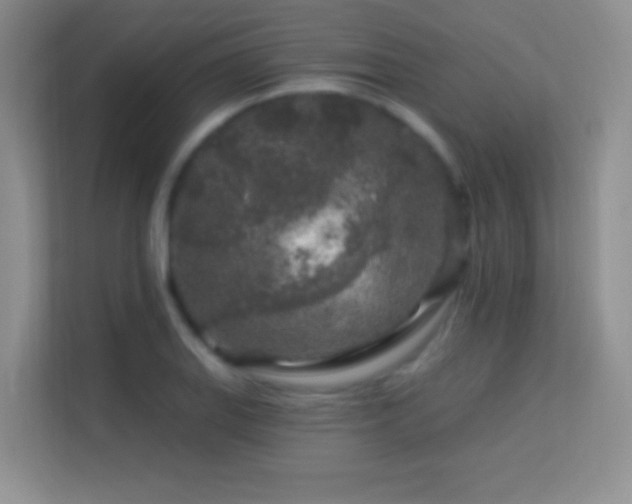 X0000113581127200909251149