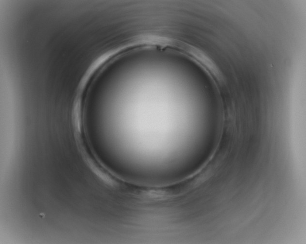 X0000113581128200909251149