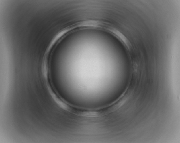 X0000113581131200909251149