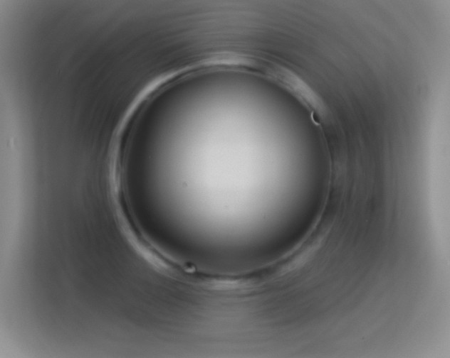 X0000113581132200909251149