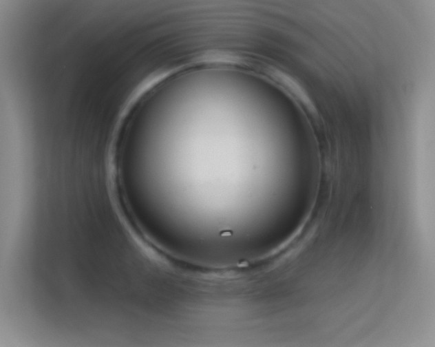 X0000113581133200909251149