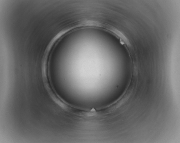 X0000113581136200909251149