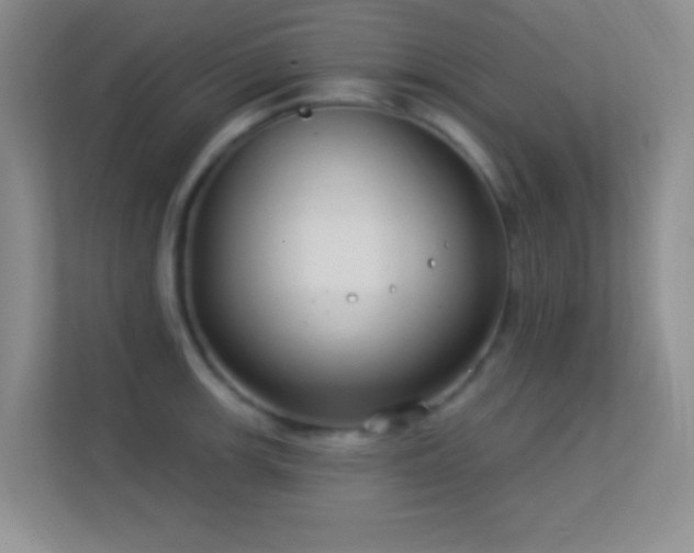 X0000113581139200909251150