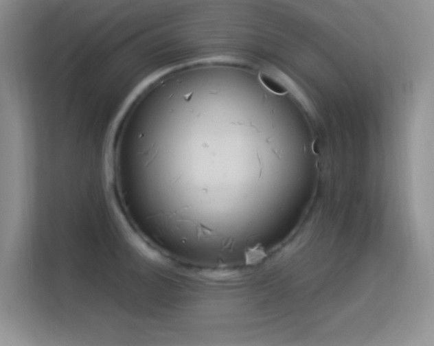 X0000113581140200909251150