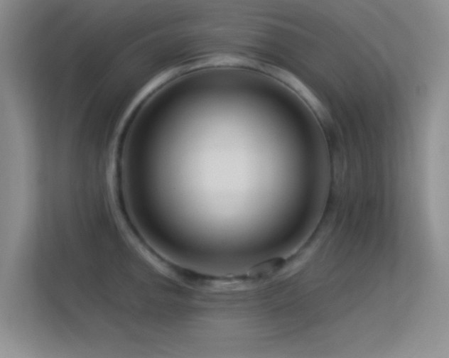 X0000113581142200909251150