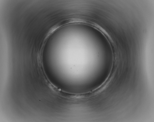 X0000113581145200909251150