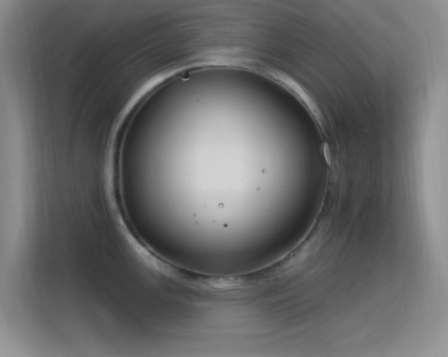 X0000113581147200909251150