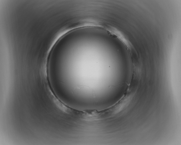 X0000113581148200909251150