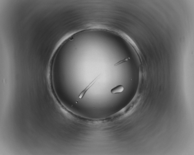 X0000113581149200909251150