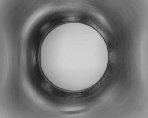 X0000113581150200909251150