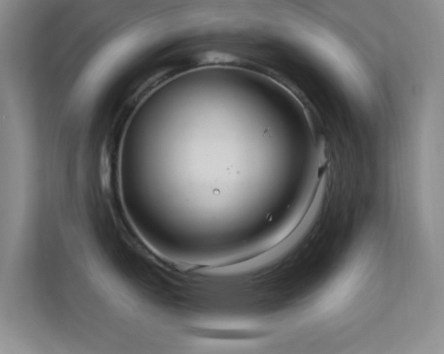 X0000113581151200909251150