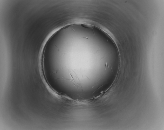 X0000113581152200909251150