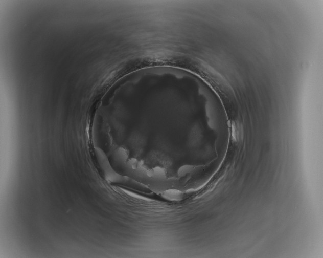 X0000113581155200909251149