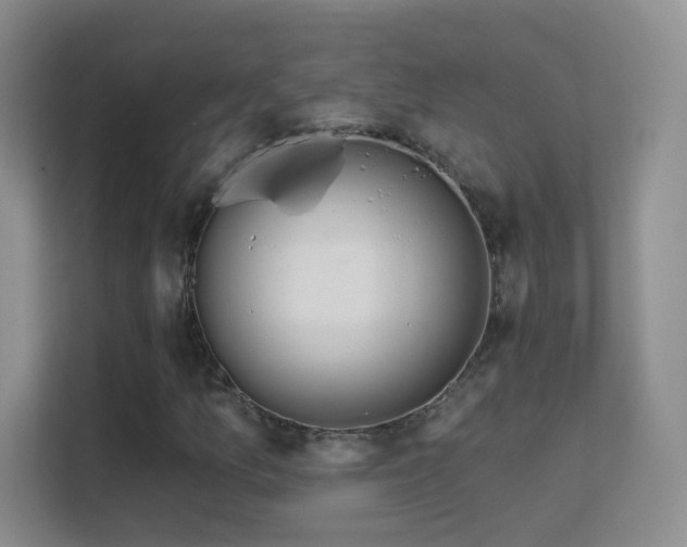 X0000113581157200909251149