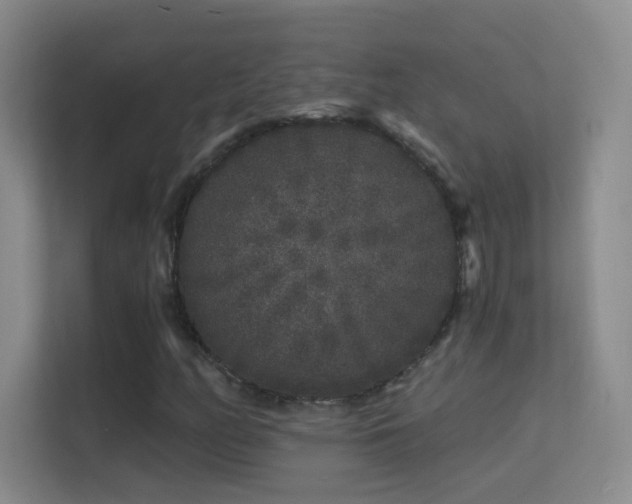 X0000113581158200909251149