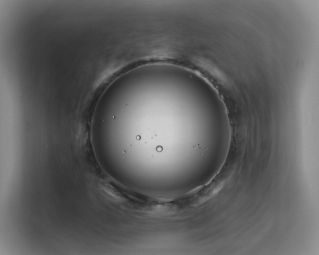 X0000113581160200909251149