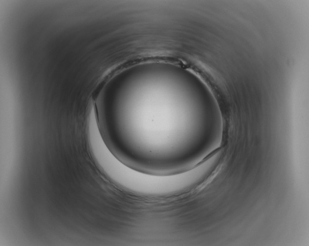 X0000113581161200909251149