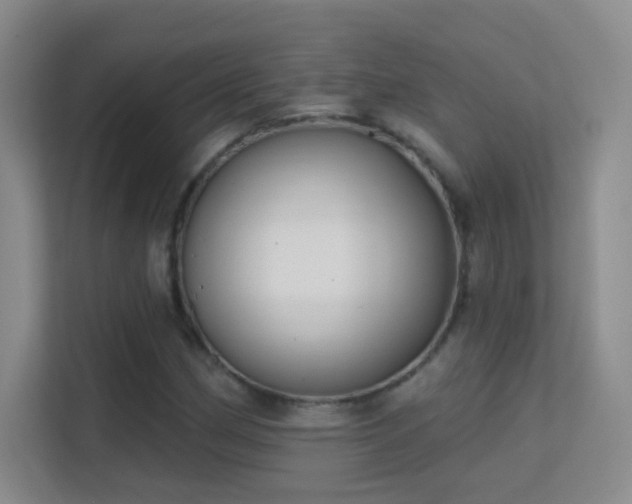 X0000113581162200909251149