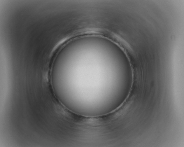 X0000113581166200909251149