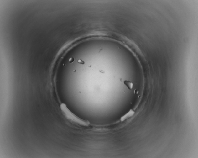 X0000113581168200909251149