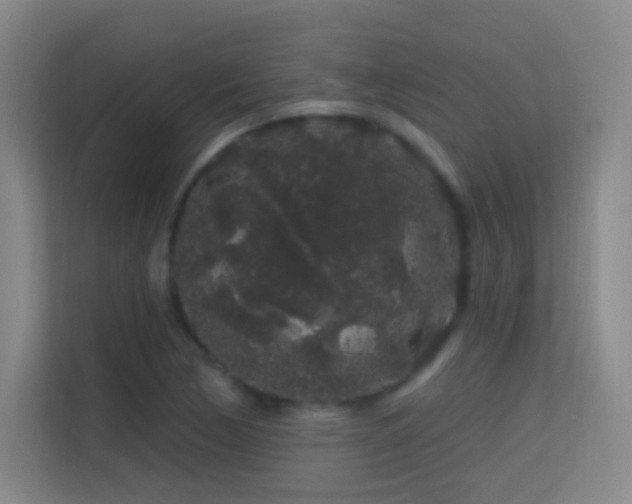 X0000113581170200909251149