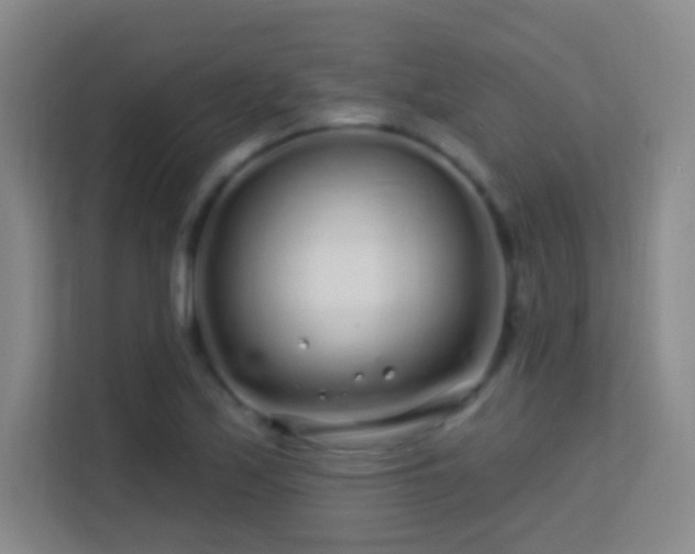 X0000113581171200909251149