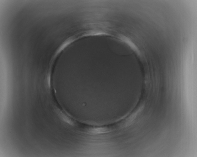 X0000113581173200909251149