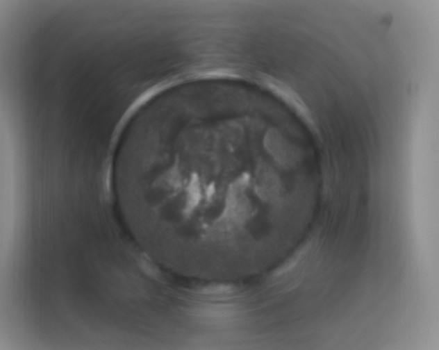 X0000113581174200909251149