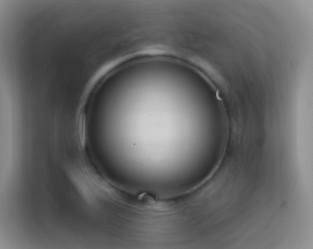 X0000113581175200909251149