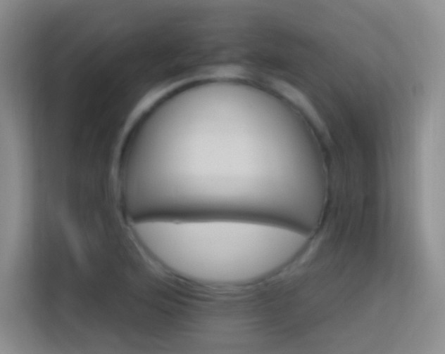 X0000113581176200909251149