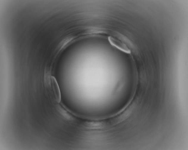 X0000113581177200909251149