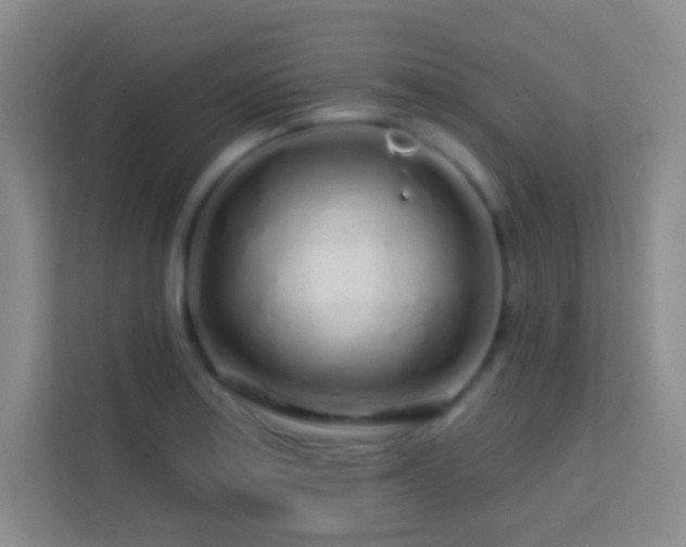 X0000113581179200909251149