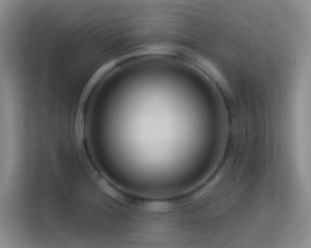 X0000113581180200909251149