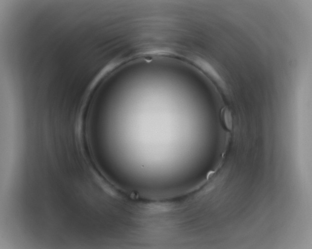 X0000113581181200909251149