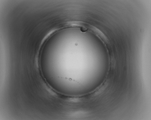 X0000113581182200909251149