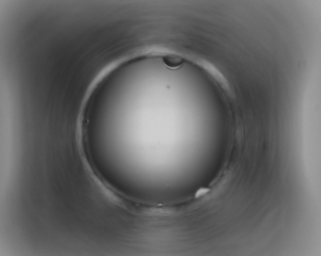 X0000113581183200909251149