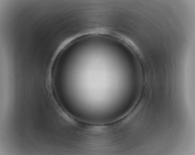 X0000113581184200909251149