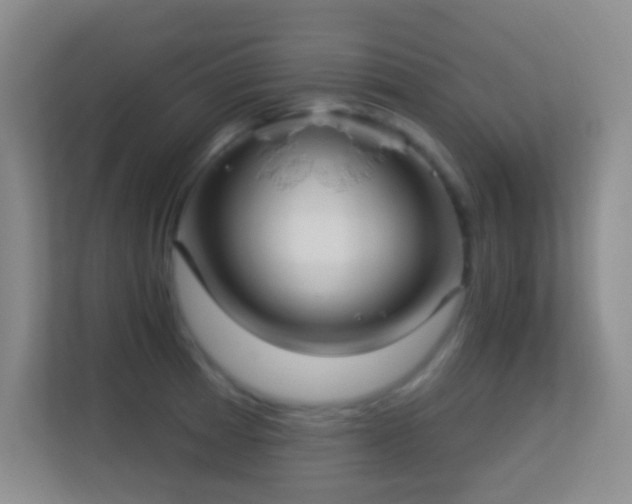 X0000113581185200909251149