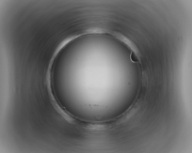 X0000113581187200909251149