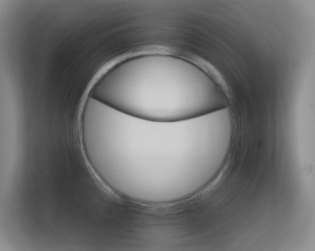 X0000113581192200909251149